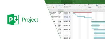 Cómo usar Microsoft Project