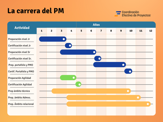 Project manager: Quo vadis? (¿A dónde vas?)