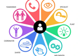 Autodiagnóstico de roles de Belbin para profesionales con proyectos retadores